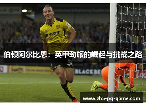 伯顿阿尔比恩：英甲劲旅的崛起与挑战之路