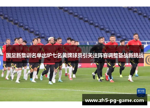 国足新集训名单出炉七名黄牌球员引关注阵容调整备战新挑战
