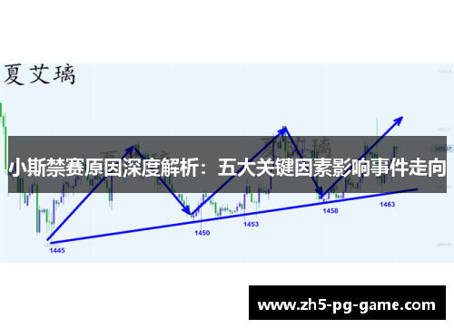 小斯禁赛原因深度解析：五大关键因素影响事件走向
