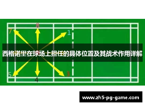 西格诺里在球场上担任的具体位置及其战术作用详解