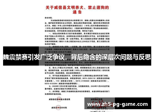 魏震禁赛引发广泛争议，背后隐含的深层次问题与反思