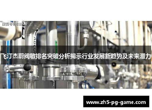 飞汀杰蔚阀敏排名突破分析揭示行业发展新趋势及未来潜力